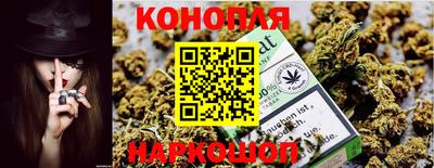 индика Заводоуковск