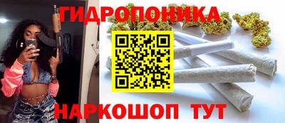 индика Заводоуковск