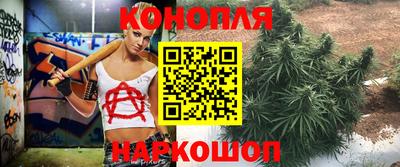 индика Заводоуковск