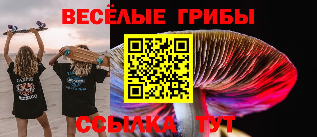 Псилоцибиновые грибы Magic Shrooms  как найти   Нарткала  Псилоцибиновые грибы мухоморы  Вход с VPN 