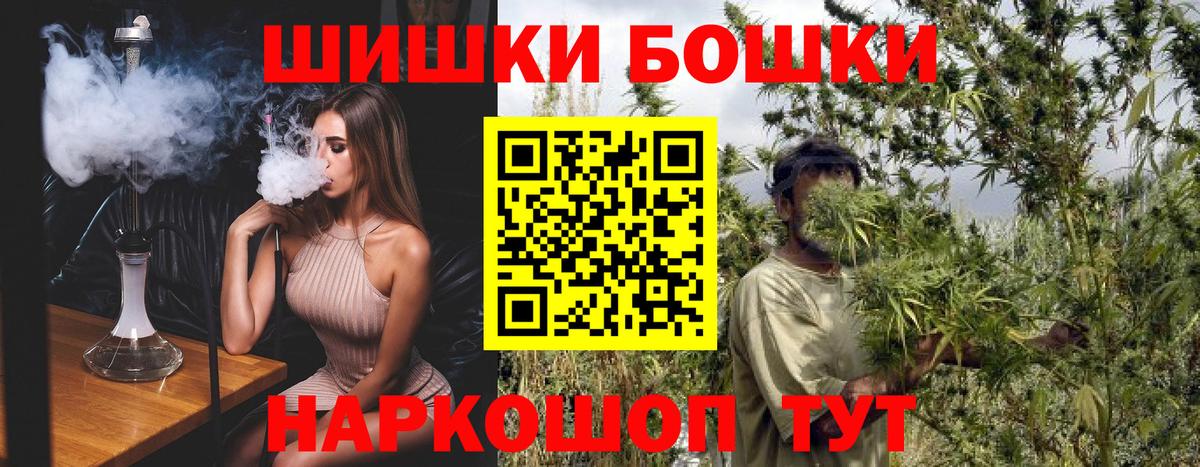 Марихуана сатива  Марихуана планчик  Нарткала  Конопля OG Kush  Вход с VPN 